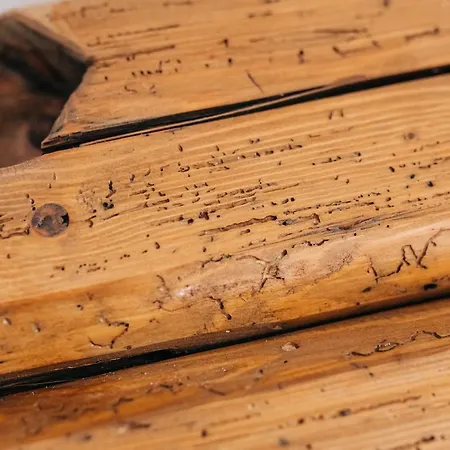 Stekner House Apartma Ljubno