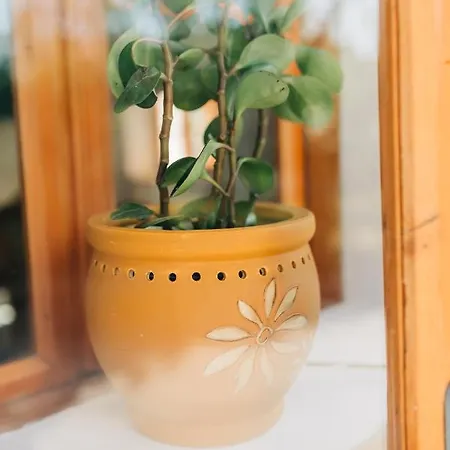 Stekner House Apartma アパート Ljubno