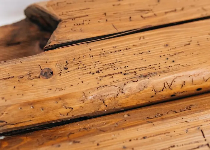 Stekner House Apartma Ljubno