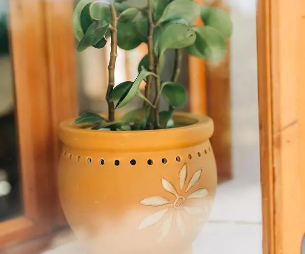 Stekner House Apartma Lägenhet Ljubno